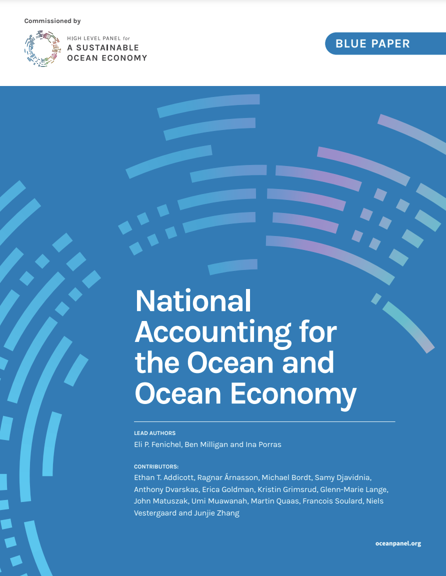 National Accounting for the Ocean and Ocean Economy