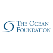 https://oceanpanel.org/wp-content/uploads/2022/05/TOF_SecondaryLogo_FullColor-768x179-1.png