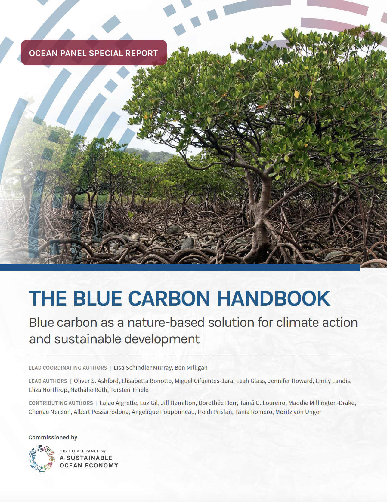 Blue Carbon Handbook