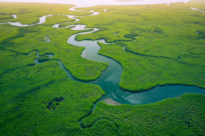 wetlands