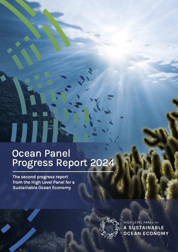 Ocean Panel Progress Report 2024