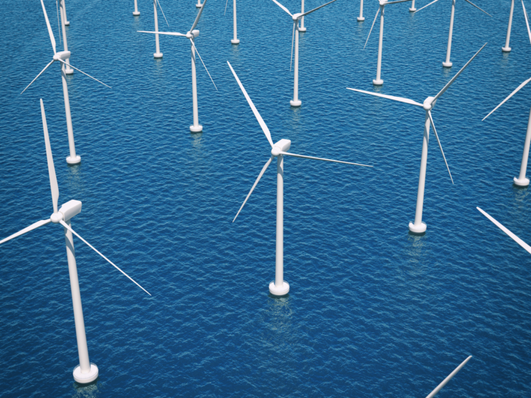 Ocean Wealth